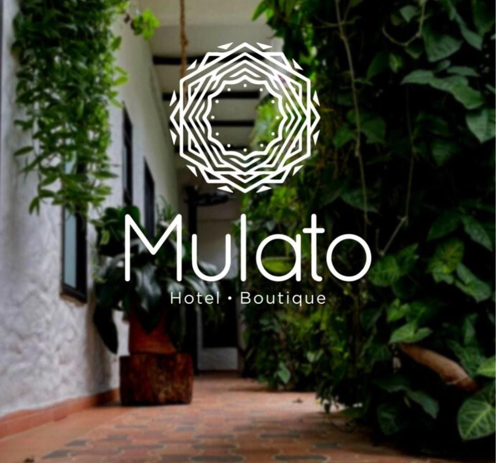 Hotel Mulato El Colegio  Extérieur photo